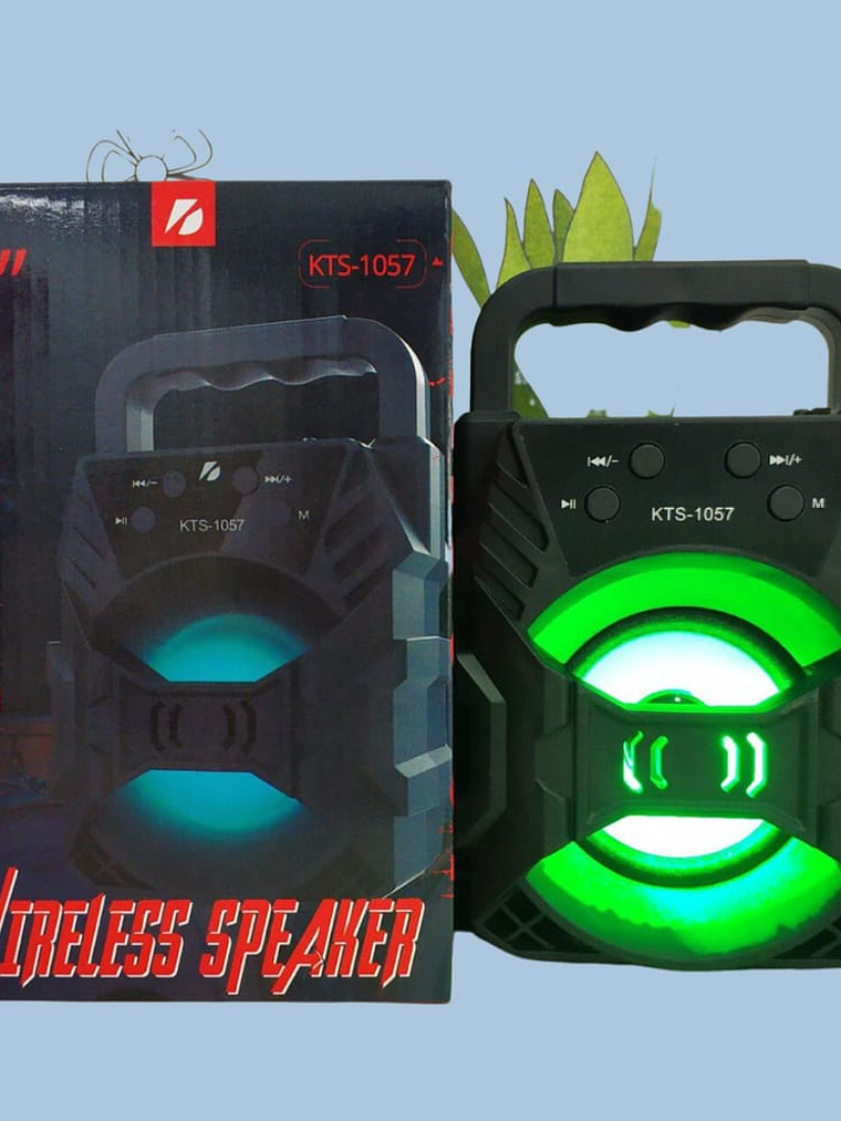 PARLANTE KTS-1057 LED  1