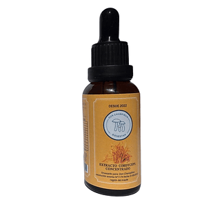 Extracto Cordyceps