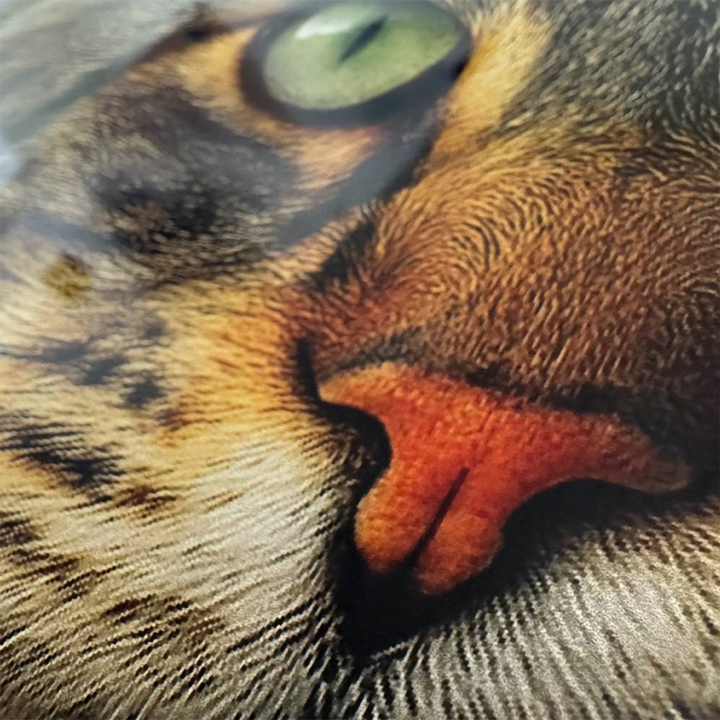 Lamina De Aluminio Personalizable Para Fotografias 3