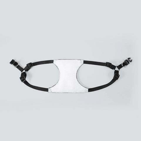 Arnés Para Perros Personalizable