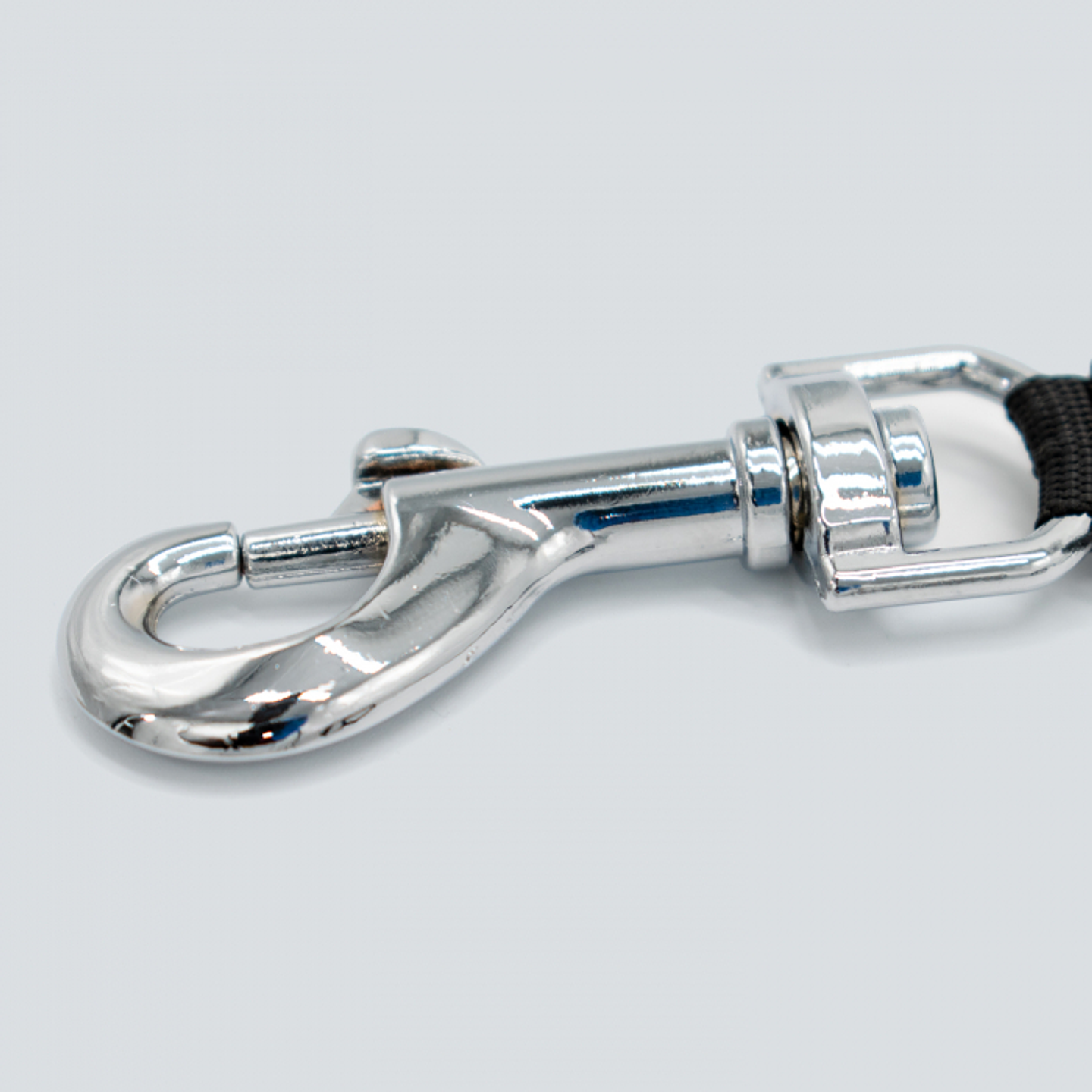 Correa Automática Para Mascotas Personalizable 5