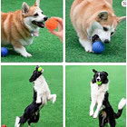 Pelota sólida de goma para perros 5CM 3