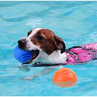 Pelota sólida de goma para perros 5CM 4
