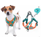 Pack arnés ajustable + correa para perros pequeños y medianos Azul - Talla S (2-3Kg) 1