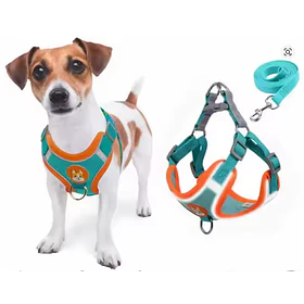 Pack arnés ajustable + correa para perros pequeños y medianos Azul - Talla S (2-3Kg)