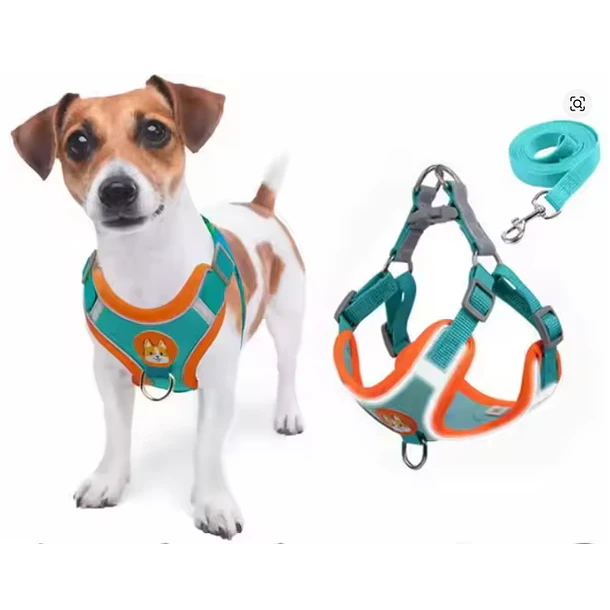 Pack arnés ajustable + correa para perros pequeños y medianos Azul - Talla S (2-3Kg) 1
