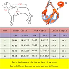 Pack arnés ajustable + correa para perros pequeños y medianos Azul - Talla S (2-3Kg) 2