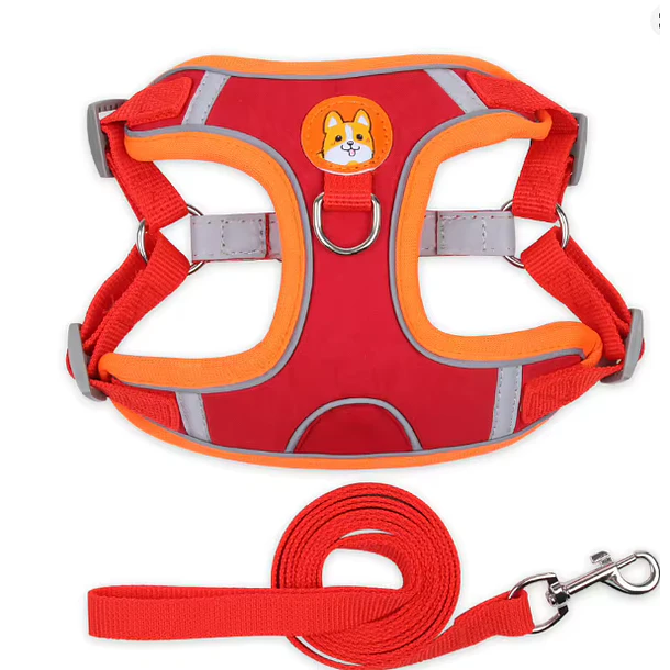 Pack arnés ajustable + correa para perros pequeños y medianos Rojo- Talla S (2-3Kg) 2