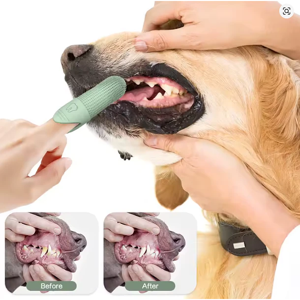 Cepillo de dientes de gel para perros y gatos (simple) 3