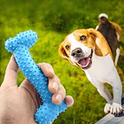 Hueso de goma para Perros 2
