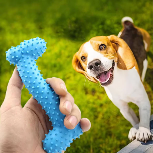 Hueso de goma para Perros 2