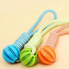 Pelota Dispensadora de Alimento para perros 5CM 1