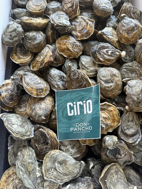 CIRIO 