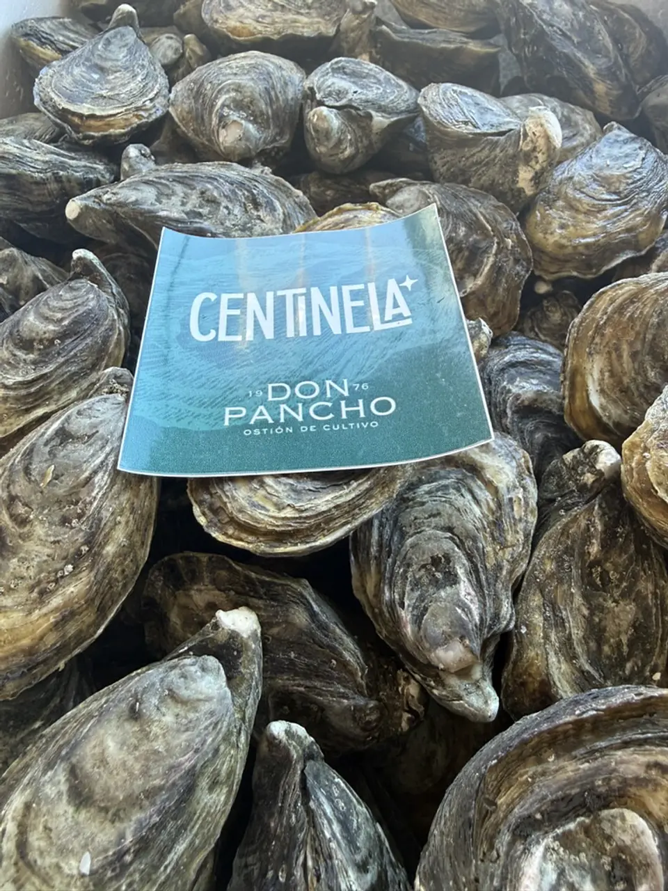 CENTINELA * 2