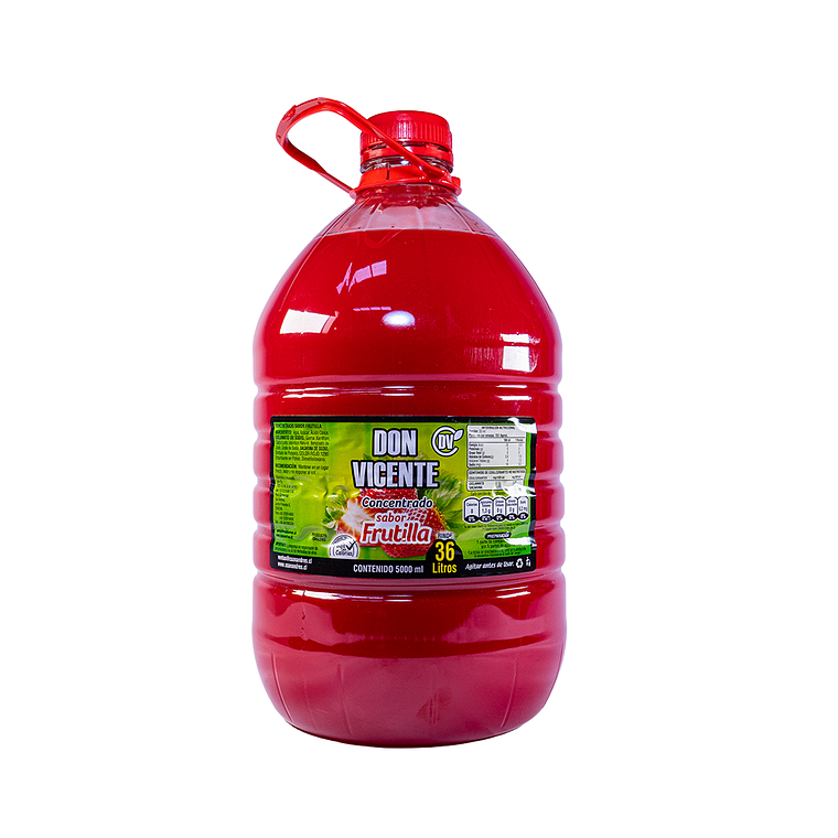 Jugo concentrado Frutilla Bidón 5 litros 1