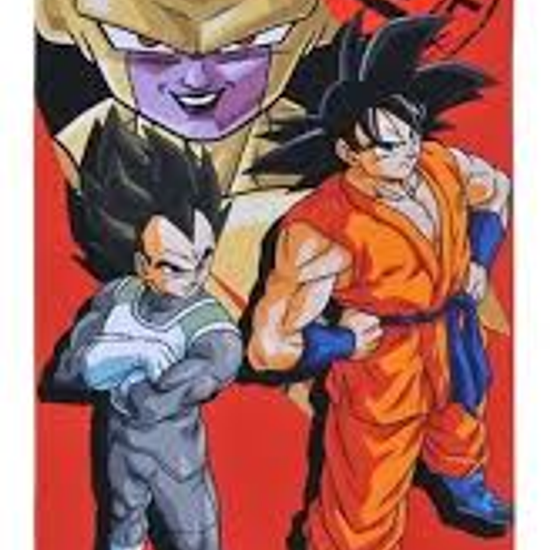 TOALLA VERANO 68x137CM  5