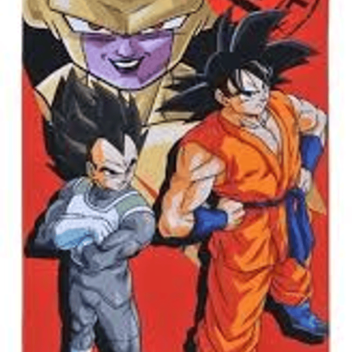 TOALLA VERANO 68x137CM  5