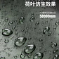 CAPA DE LLUVIA CON CAPUCHA DE ADULTO  - Miniatura 2