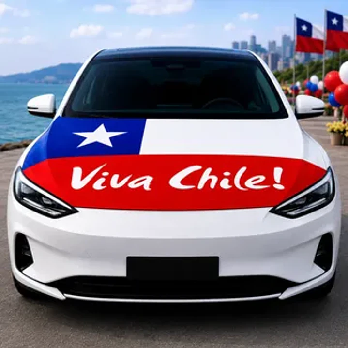 FUNDA CAPO DE AUTO  2