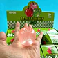 SQUISHY MANZANA  - Miniatura 3