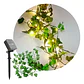 GUIRNALDA CORTINA HOJAS LED SOLAR 2x1M - Miniatura 4