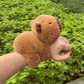 BRAZALETE CAPYBARA  - Miniatura 3