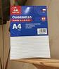 CUADERNILLO A4 RAYADO 60 HOJAS 60GR  - Miniatura 1