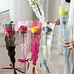 SOBRE PARA ROSAS CELOFAN PQT 50 SOBRES 45CM - Miniatura 3