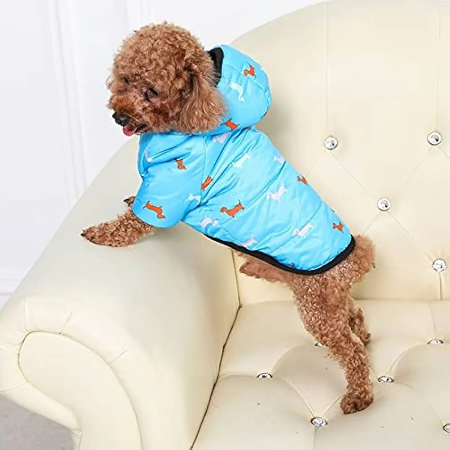 PARKA CHAQUETA CON GORRO Y POLAR PARA MASCOTAS RAZA MEDIANA, PEQUEÑA, CACHORRO 1