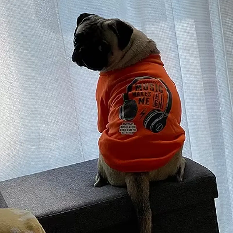 POLERON POLAR MASCOTA RAZA MEDIANA, PEQUEÑA, CACHORRO (SOLO NARANJA) 6