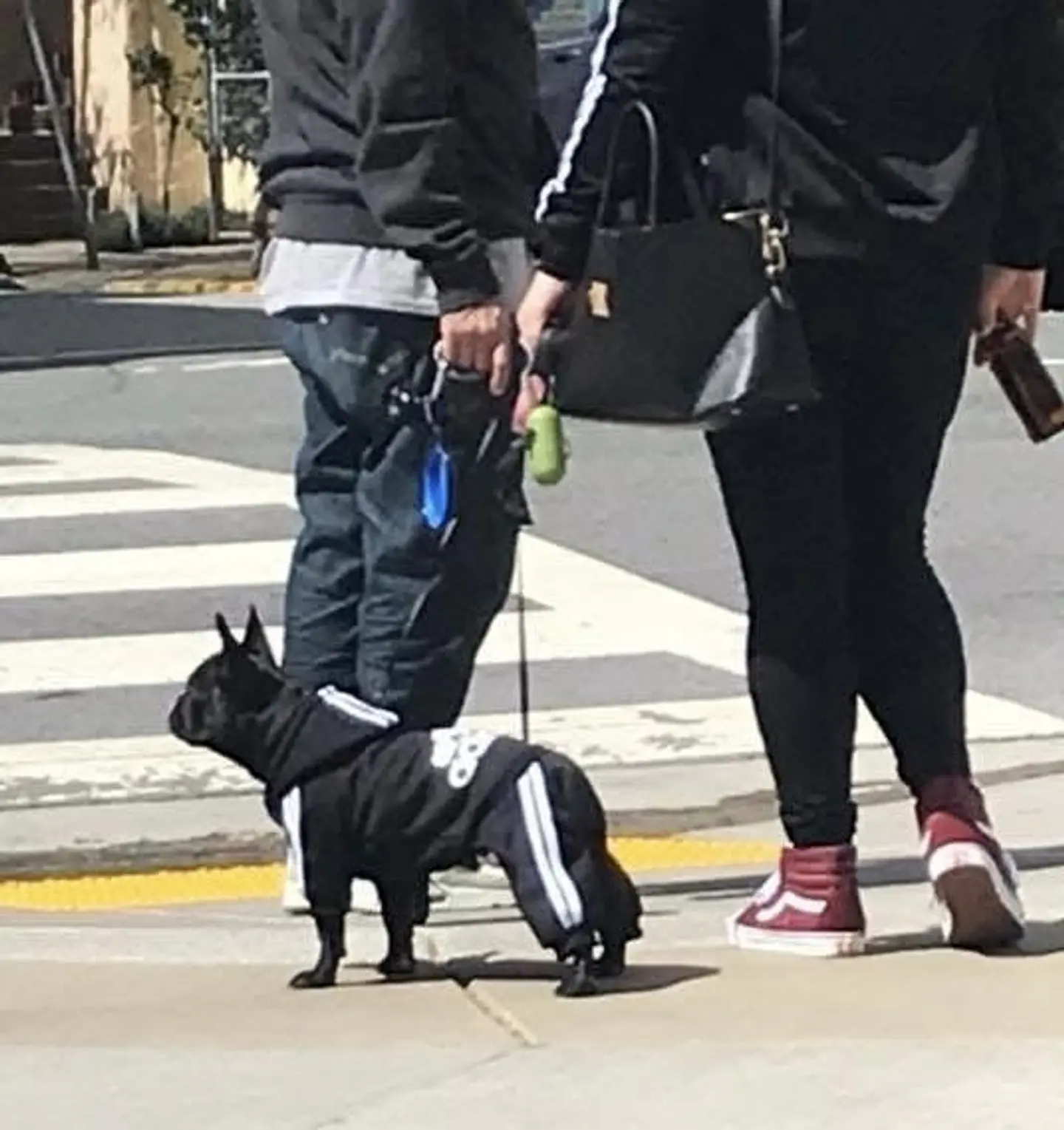  ENTERIZO CORTAVIENTO CON CHIPORRO A RAYAS PARA MASCOTAS RAZA MEDIANA, PEQUEÑA, CACHORRO 3