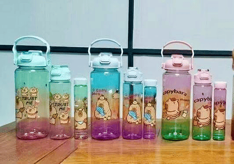 SET DE 3 BOTELLAS CAPYBARA MOTIVACIONAL