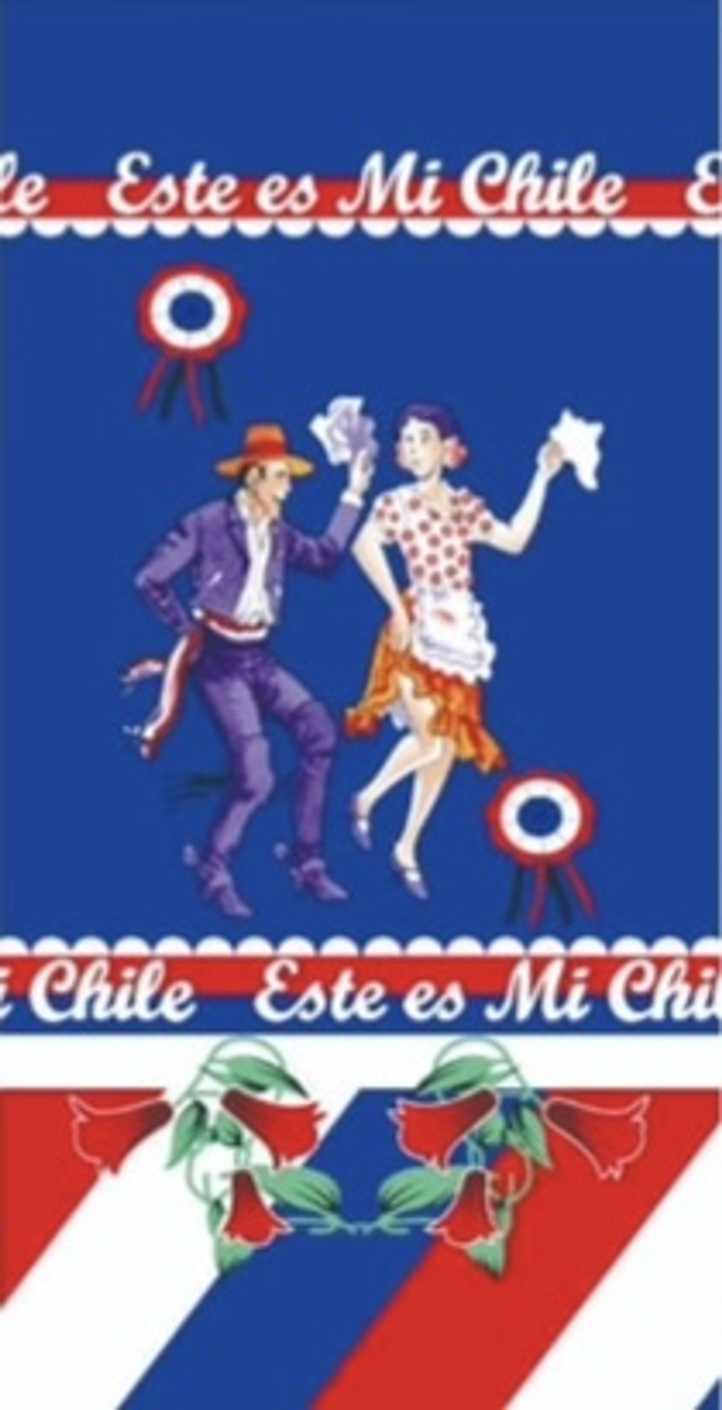 FUNDA DE PUERTA FIESTAS PATRIAS 18 DE SEPTIEMBRE PRE-VENTA 5