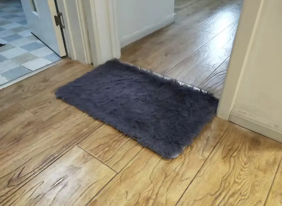 ALFOMBRA PELUDA ANTIDESLIZANTE 40x60CM 6