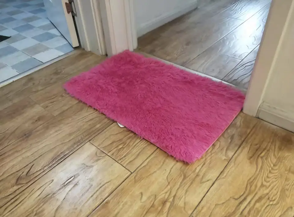 ALFOMBRA PELUDA ANTIDESLIZANTE 40x60CM 8