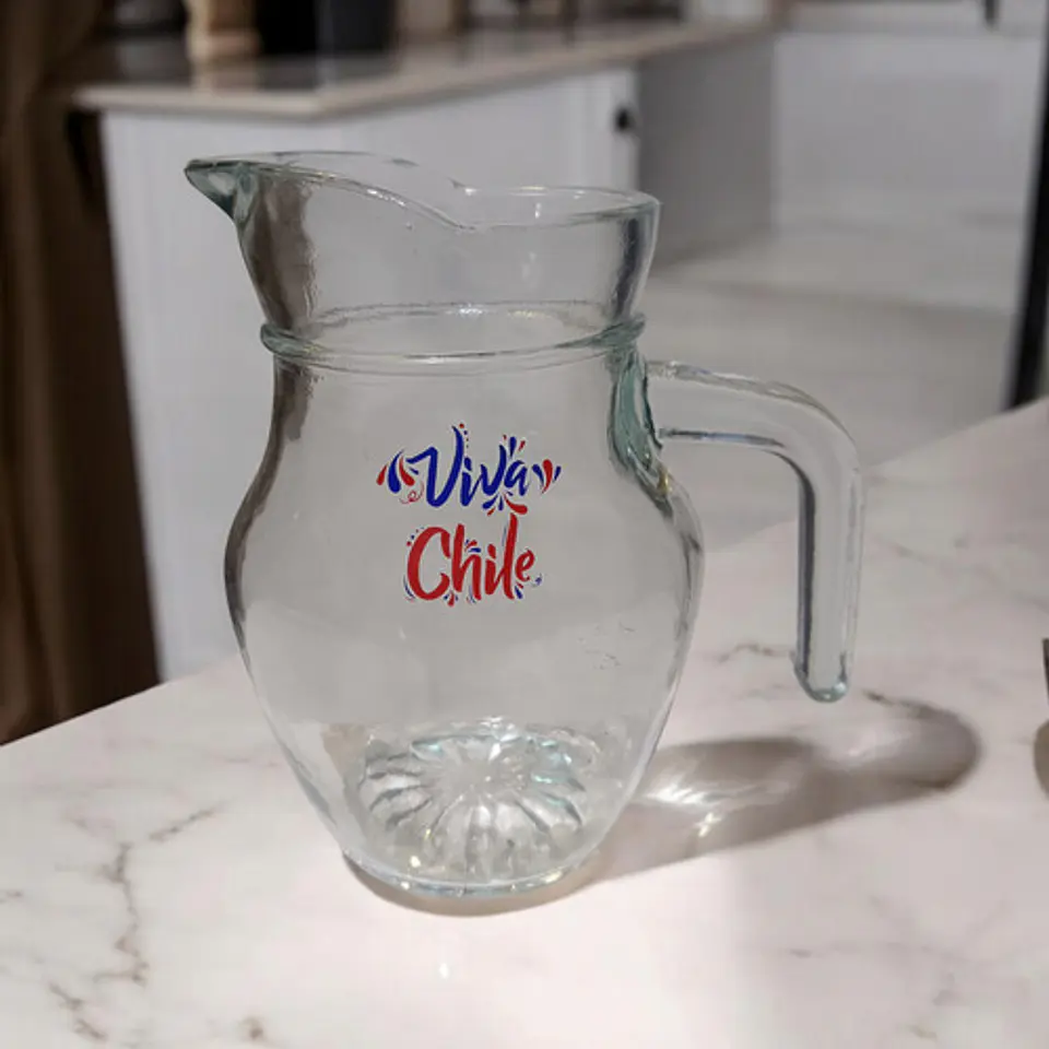 EMBALAJE DE 24UNDS JARRITAS LORITO 500ML ESTAMPADO VIVA CHILE 3