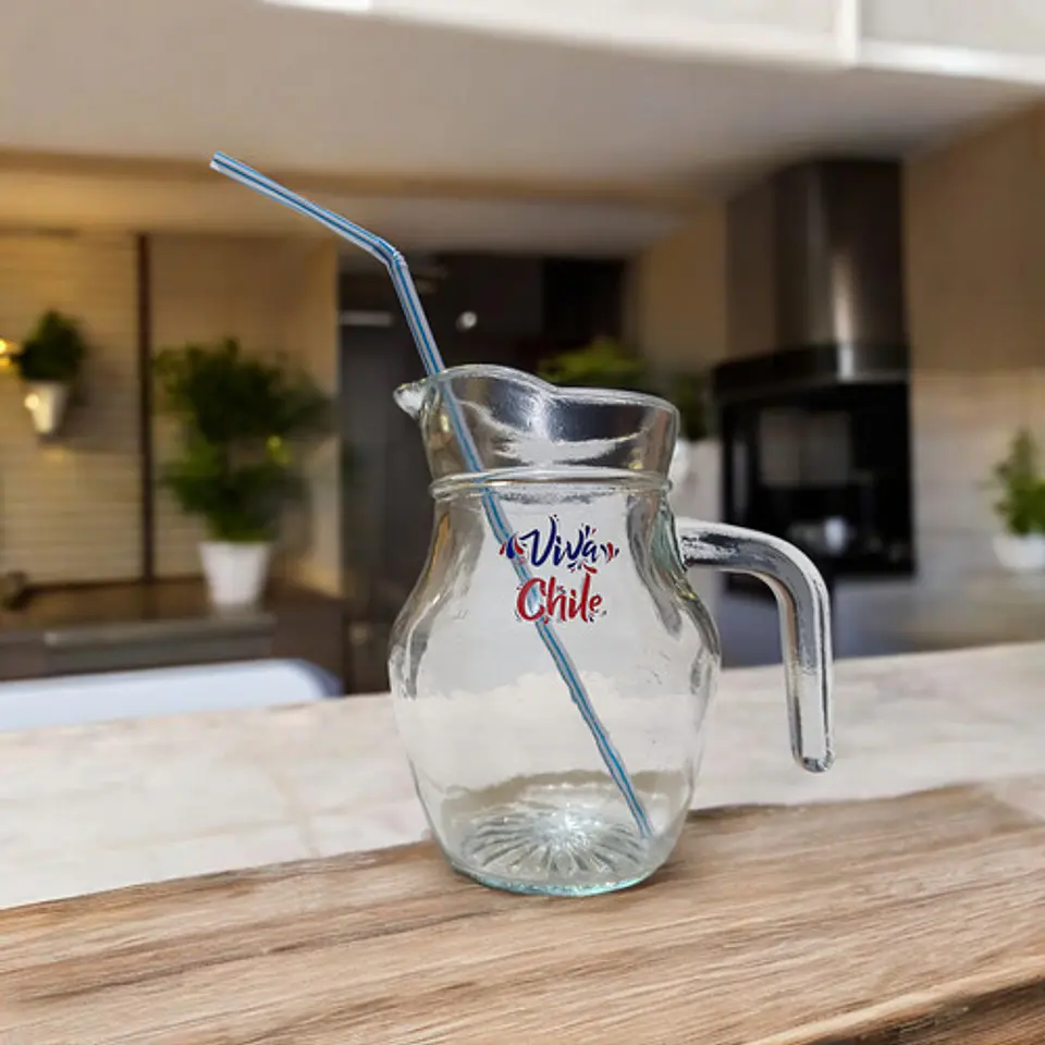 EMBALAJE DE 24UNDS JARRITAS LORITO 500ML ESTAMPADO VIVA CHILE 4