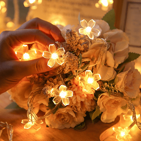 GUIRNALDA FLOR SOLAR 20 LED 6 METROS CALIDA