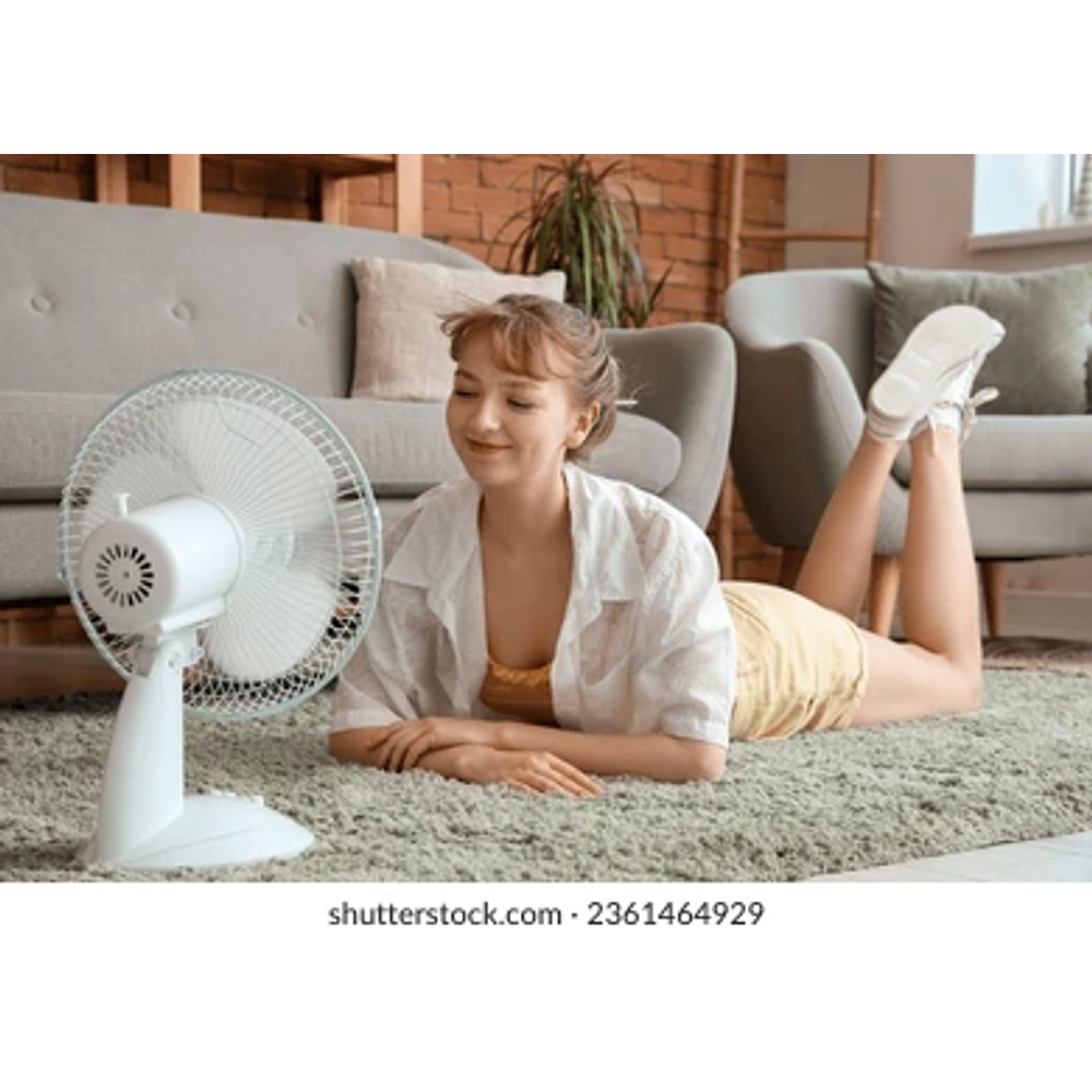 VENTILADOR DE MESA 220V 16'' 3 ASPAS 3 VELOCIDADES 