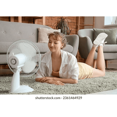 VENTILADOR DE MESA 220V 16'' 3 ASPAS 3 VELOCIDADES 
