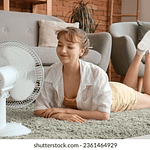 VENTILADOR DE MESA 220V 16'' 3 ASPAS 3 VELOCIDADES 