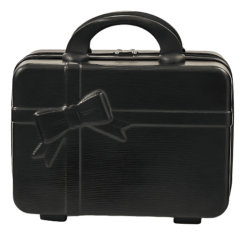 MINI MALETA ORGANIZADOR DE VIAJE Y MAQUILLAJE LAZO 