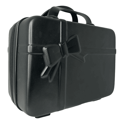 MINI MALETA ORGANIZADOR DE VIAJE Y MAQUILLAJE LAZO 