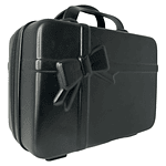 MINI MALETA ORGANIZADOR DE VIAJE Y MAQUILLAJE LAZO 