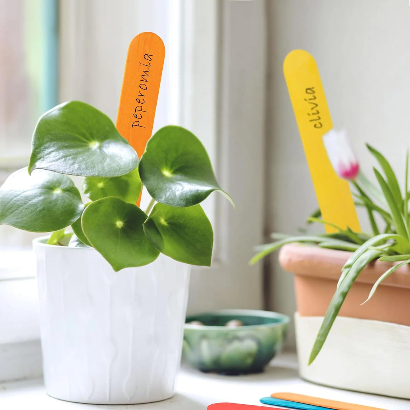 PALO DE HELADO MADERA GRUESO COLORES 50UNDS (BAJA LENGUA) 4