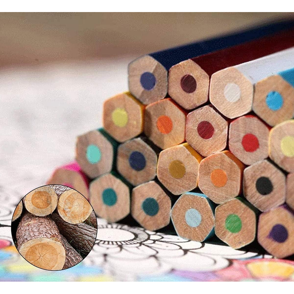 SET 36 LAPICES DE COLORES PUNTA GRUESA NEW ELITE 