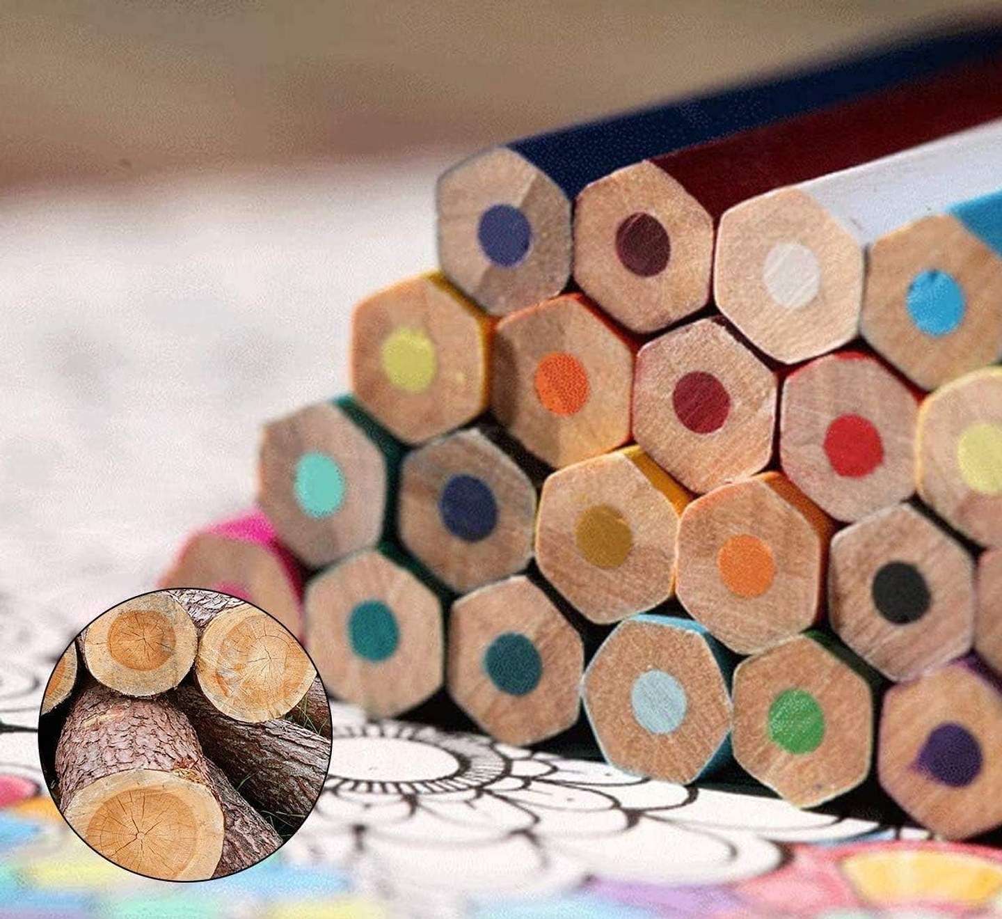 SET 36 LAPICES DE COLORES PUNTA GRUESA NEW ELITE  5