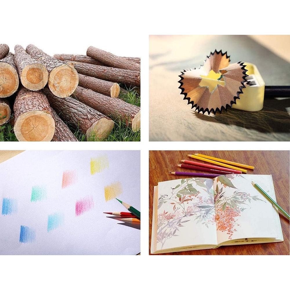 SET 36 LAPICES DE COLORES PUNTA GRUESA NEW ELITE 