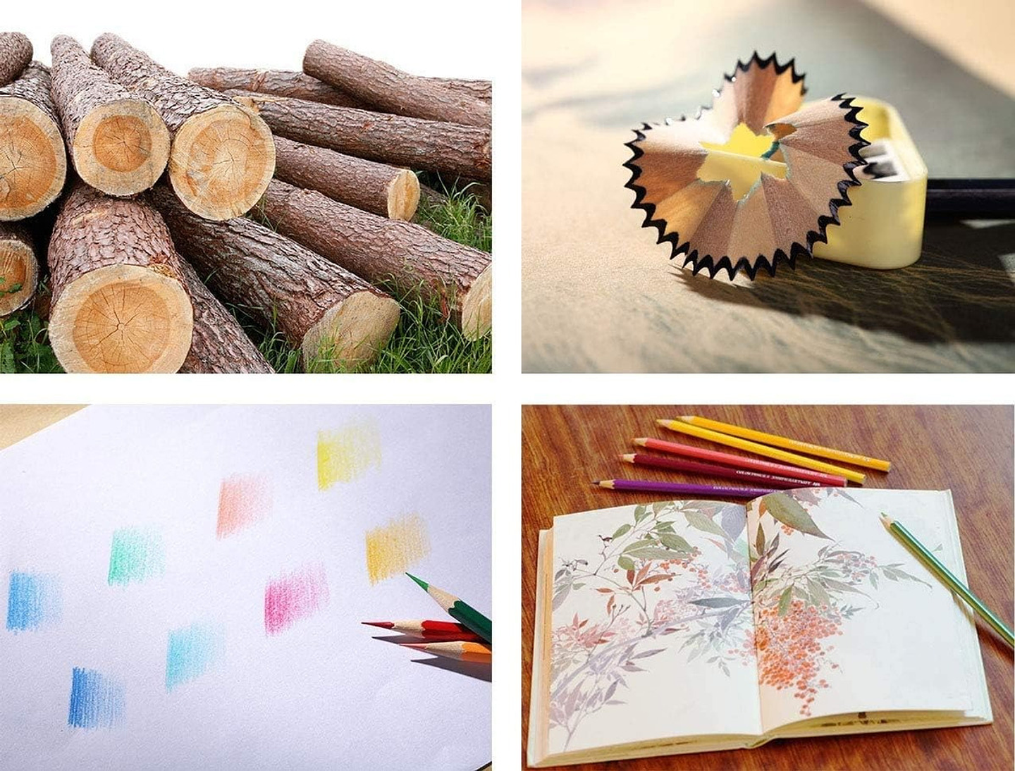 SET 36 LAPICES DE COLORES PUNTA GRUESA NEW ELITE  9