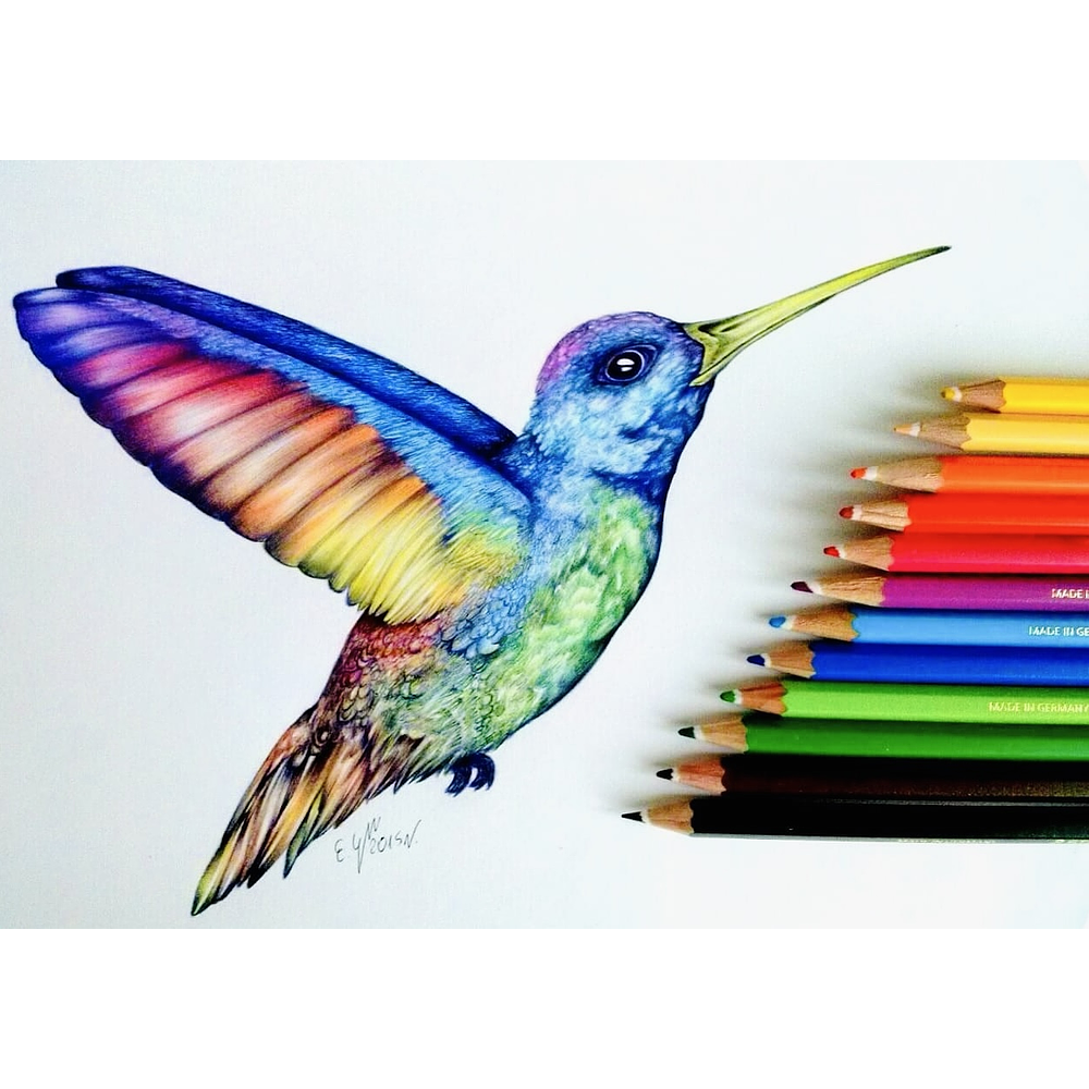 SET DE 12 COLORES CORTO 8.5CM NEW ELITE 